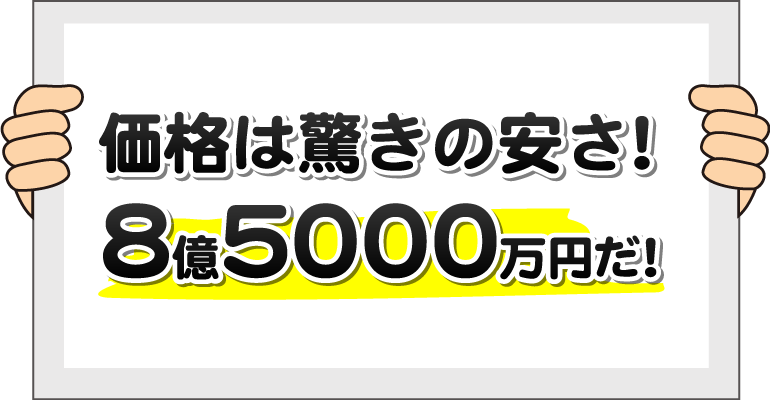 価格は驚きの安さ！8億5000万円だ！